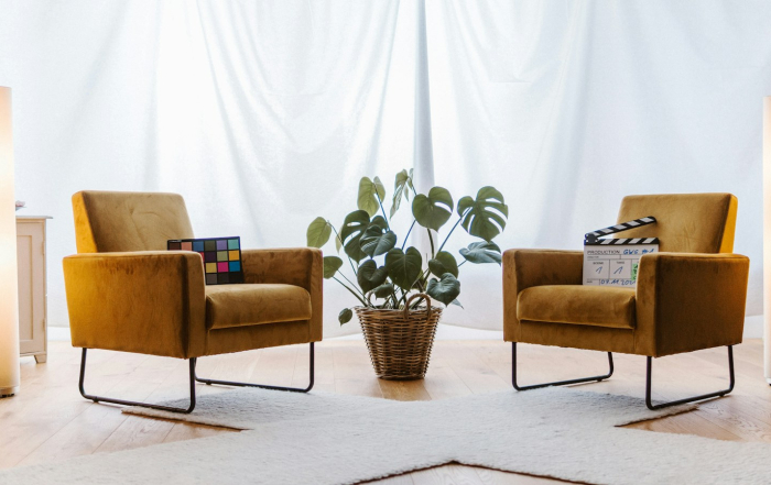Dos sillones con una planta en una sala tranquila e iluminada.